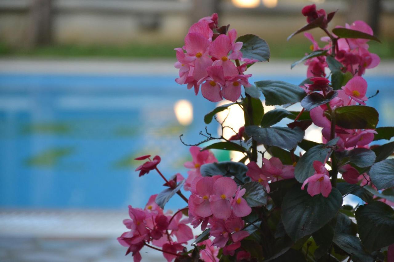 Corfu Hellinis Hotel Kanoni  Exteriér fotografie